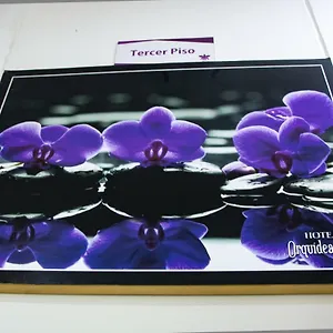  Hotel Orquidea West